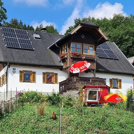 Ferienhaus Beringer Am Kallbach Traunkirchen Exterior foto